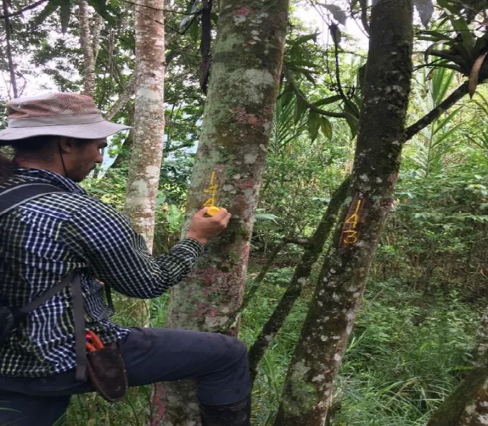 Cauce natural en un entorno boscoso protegido en el área de influencia.